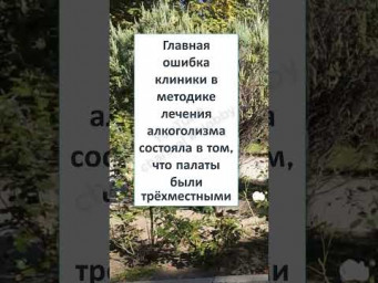 #юмор #шутки #смешно #анекдоты #ШОУ ПРОДОЛЖАЕТСЯ 