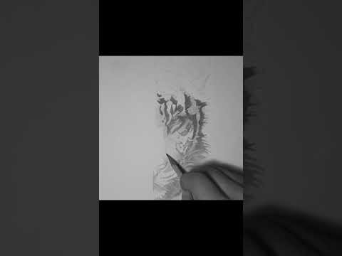 Tiger [speedpaint]