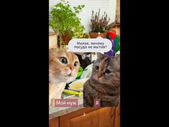Ваш муж даёт вам поблажку на кухне?  #вязаниекрючком #вязание #изделиякрючком #иринаневзорова