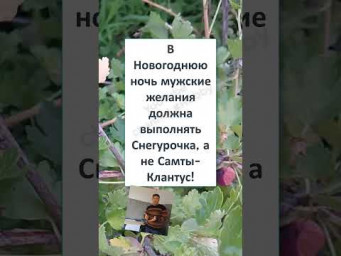 #смешной#shortsvideo #В НОВОГОДНЮЮ НОЧЬ... ❄
