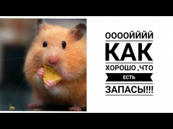 НАМЕЧАЕТСЯ ЧТО ТО МАСШТАБНОЕ!!!! Как хорошо быть запасливым хомяком!!!