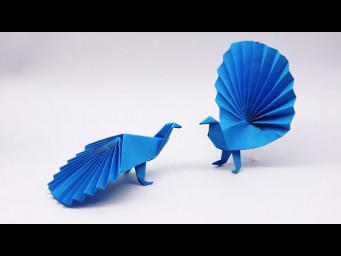 Colorful DIY Paper Peacock Craft 