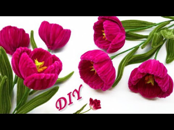 DIY Tulips 