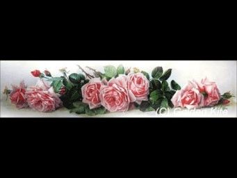 Французские розы/6% готовой работы #вышивка #embroidery  #многоцветка #crosstitch
