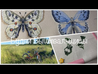 #487. Будни Вышивальщицы 1-10.07.25/ Неожиданные процессы: бабочки, авантюра и выворотень