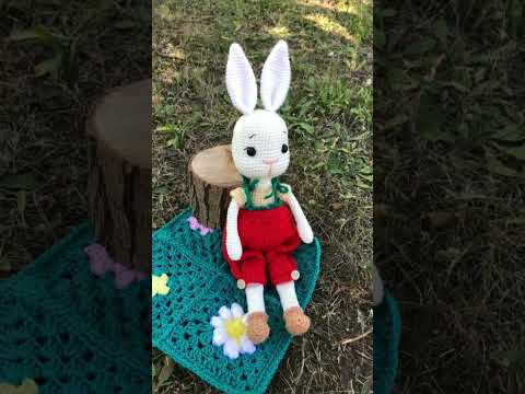 Funny bunny Funny bunny