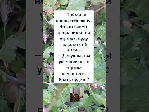 #юмор #смех #анекдоты #funny #КОГДА ДЕВУШКА ХОЧЕТ... #юмор #смех #анекдоты #funny #КОГДА ДЕВУШКА ХОЧЕТ...
