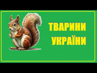 Тварини України | Загадки про тварин та голоси мешканців лісу