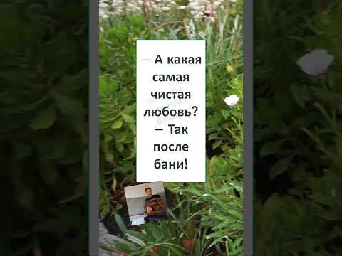#смех #юмор #мем #мемы #прикол #смешно #ржака #ПРО БОЛЬШУЮ ЧИСТУЮ ЛЮБОВЬ #смех #юмор #мем #мемы #прикол #смешно #ржака #ПРО БОЛЬШУЮ ЧИСТУЮ ЛЮБОВЬ