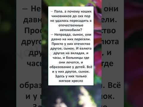 #юмор #шуточное #анекдоты 