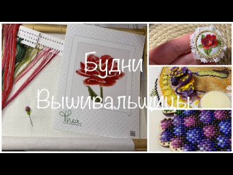 #468.Будни Вышивальщицы 1-10.02.25/Старт Тюльпана от Теи, небольшие финиши, продвижения