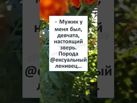 #юмор #смех #анекдоты #funny #funnyvideo #Им ДАРИШЬ ЦВЕТЫ, провожаешь до ПОДЪЕЗДА а они... #Shorts #юмор #смех #анекдоты #funny #funnyvideo #Им ДАРИШЬ ЦВЕТЫ, провожаешь до ПОДЪЕЗДА а они... #Shorts