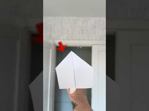 312 Feet?! World Record Paper Plane Hits the Target! #diy #papercraft #paperplane 312 Feet?! World Record Paper Plane Hits the Target! #diy #papercraft #paperplane