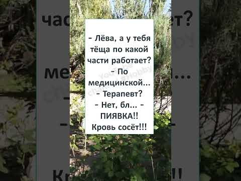 #смех#шутка#анекдот#анекдоты #ТЁЩИ БЫВАЮТ РАЗНЫЕ, но по ЛЮБОМУ ПРЕКРАСНЫЕ! #смех#шутка#анекдот#анекдоты #ТЁЩИ БЫВАЮТ РАЗНЫЕ, но по ЛЮБОМУ ПРЕКРАСНЫЕ!