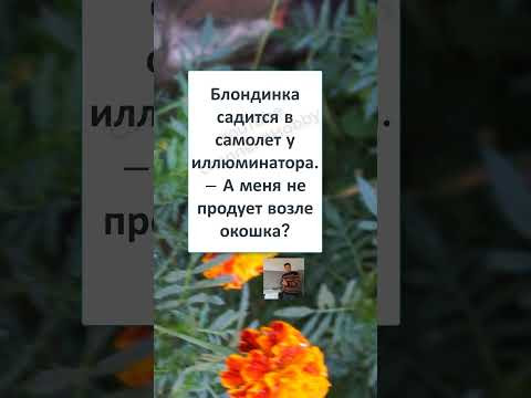 #смех #шутка #анекдот #анекдоты #СРОЧНО НУЖЕН БОРТ для БЛОНДИНОК! ✈ #смех #шутка #анекдот #анекдоты #СРОЧНО НУЖЕН БОРТ для БЛОНДИНОК! ✈
