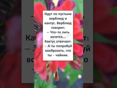 #юмор #шуточное #анекдоты 