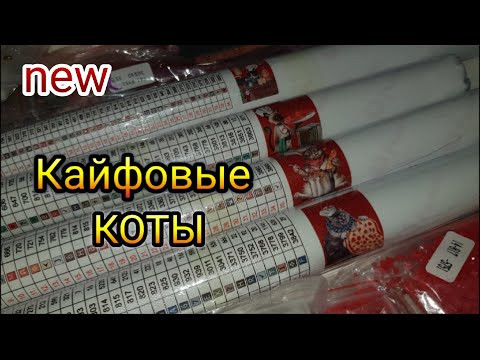 ОЧЕНЬ Классные КОТЫ поварята!! Подробный обзор заказа с сайта Aliexpress . Сыылка в описании ОЧЕНЬ Классные КОТЫ поварята!! Подробный обзор заказа с сайта Aliexpress . Сыылка в описании