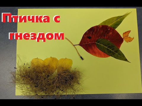 Осенняя поделка из листьев для школы - птичка с гнездом | Autumn leaf craft Осенняя поделка из листьев для школы - птичка с гнездом | Autumn leaf craft