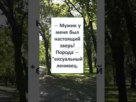#юмор #смех #анекдоты #funny #fun #memes #ЛЕНЬ ЭТО ГРЕХ! ВО ВСЕХ ПРОЯВЛЕНИЯХ! #юмор #смех #анекдоты #funny #fun #memes #ЛЕНЬ ЭТО ГРЕХ! ВО ВСЕХ ПРОЯВЛЕНИЯХ!