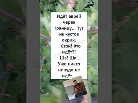 #смешной#shortsvideo #СТОЙ! КТО ИДЁТ?! #смешной#shortsvideo #СТОЙ! КТО ИДЁТ?!