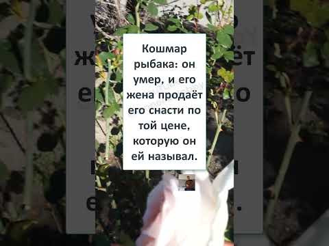 #юмор #смех #анекдоты #funny #АНЕКДОТ для ЖЁН РЫБАКОВ 