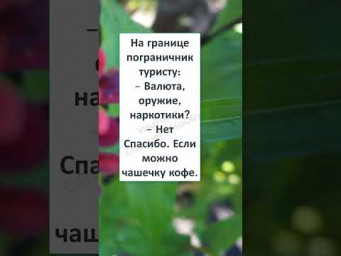 Случай на таможне #юмор 