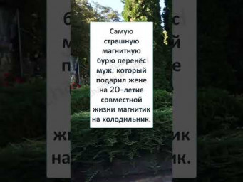 #смех#юмор #анекдот#шутки#прикол #СЕМЕЙНЫЕ БУРИ это ЖЕНЫ КАПРИЗУЛИ! 