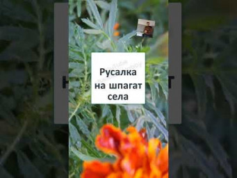 #юмор #смех #анекдоты #funny #fun #memes #ДОЖИЛАСЬ... и ТАКОЕ БЫВАЕТ!  