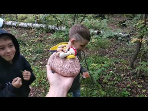 Игра-искалка с грибами. Игра-искалка с грибами.
