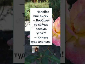 #юмор #смех #анекдоты #funny #fun #РУССО ТУРИСТО в ЕГИПЕТСКОМ ОТЕЛЕ  