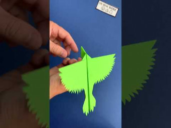 Make a Paper Airplane Bird Parrot | Origami Airplane #shorts