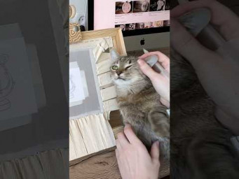 Embroidery process #cat #embroidery #catvideos #embroiderydesign #embroiderywork #beads #catshorts