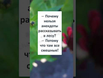 #смех #юмор #прикол #В ЛЕСУ СМЕШНО? 