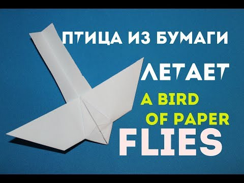 Птица из бумаги. Летает. Bird out of paper. Flies
