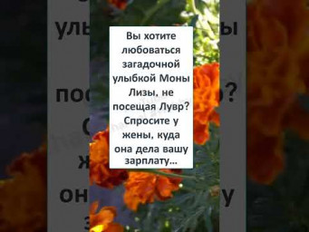 #юмор #смех #анекдоты #funny #funnyvideo #НЕ ПОСЕЩАЯ ЛУВР, будет ДОРОЖЕ 
