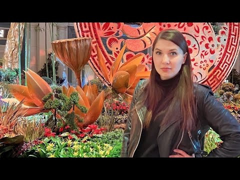 У меня в гостях прекрасная Анна из солнечной Калифорнии! У меня в гостях прекрасная Анна из солнечной Калифорнии!