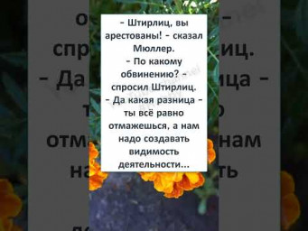 #юмор #шутки #смешно #анекдоты #ЧУЖОЙ среди СВОИХ, СВОЙ среди ЧУЖИХ 