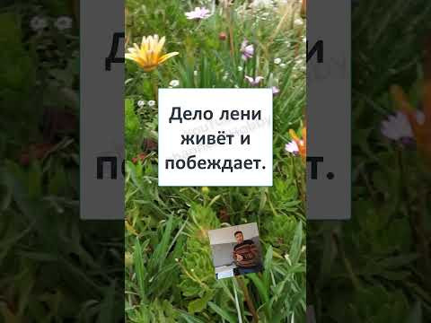 #смех #юмор #мем #мемы #прикол #смешно #ржака #ОНА неПОБЕДИМА! #смех #юмор #мем #мемы #прикол #смешно #ржака #ОНА неПОБЕДИМА!