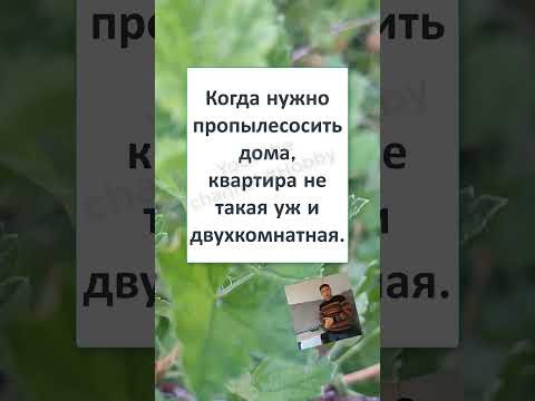 ПОДПИШИСЬ❤️ #humor #юмор #смех #мем #НЕ ТАК и ТЯЖЕЛО БЫЛО... ПОДПИШИСЬ❤️ #humor #юмор #смех #мем #НЕ ТАК и ТЯЖЕЛО БЫЛО...