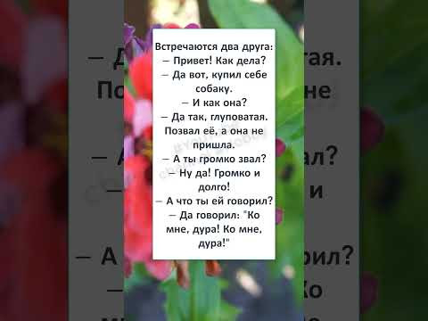 #юмор #шуточное #анекдоты 