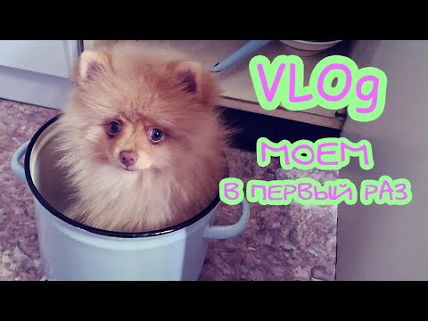 Моем Хэппи в первый раз VLOg
