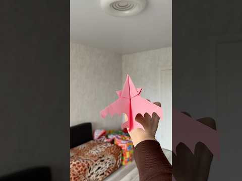 POV: You Accidentally Break a World Record in Your Kitchen #diy #origami #airplane #shorts