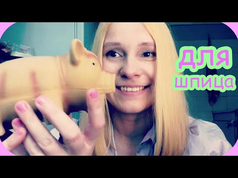 Покупки для моего шпица VLOg 