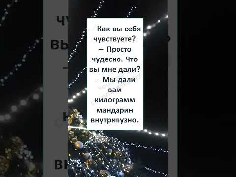 #видео #юмор #шуточное #приколы #КАК ВЫ СЕБЯ ЧУВСТВУЕТЕ на НОВОГОДНИЕ ПРАЗДНИКИ? #видео #юмор #шуточное #приколы #КАК ВЫ СЕБЯ ЧУВСТВУЕТЕ на НОВОГОДНИЕ ПРАЗДНИКИ?