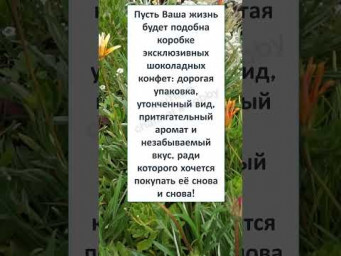 ТОСТ - ПОЗДРАВЛЕНИЕ для ЗАМЕЧАТЕЛЬНОГО ЧЕЛОВЕКА! 