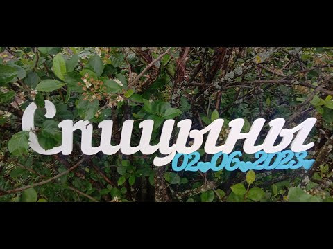 Фотосессия. Слова. Надписи. Как выпилить большую деталь. Сделай сам. Фотосессия. Слова. Надписи. Как выпилить большую деталь. Сделай сам.
