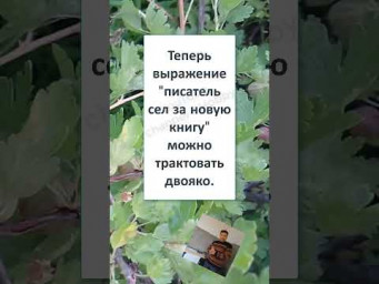 #смешной#shortsvideo #НЕ ВСЁ, ТАК ОДНОЗНАЧНО! 