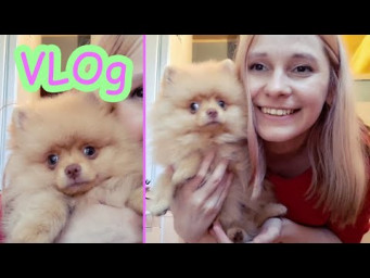 Отключили свет новые игрушки и шампунь испекла запеканку VLOg