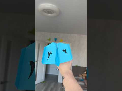 Paper Airplane World Record Attempt – 301 Feet in My Living Room! #origami #papercraft #diy Paper Airplane World Record Attempt – 301 Feet in My Living Room! #origami #papercraft #diy