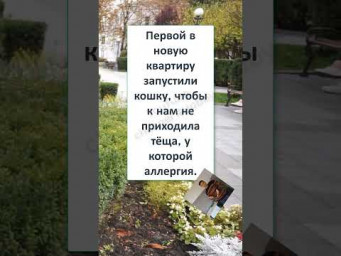 #юмор #смех #анекдоты #funny #fun #memes #ХИТРО-УМНЫЙ ЗЯТЬ  